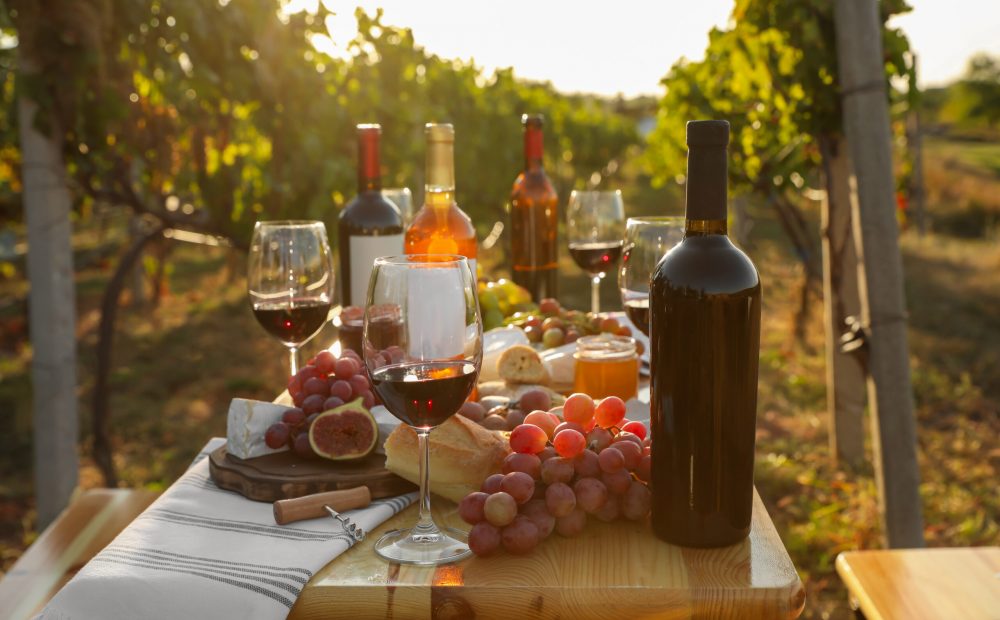 Red wine and snacks served for picnic on wooden table outdoors